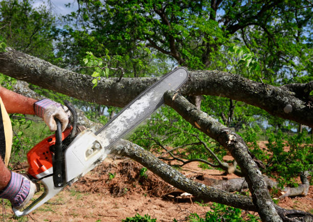 Landscape Design and Installation in Mooreville, MS